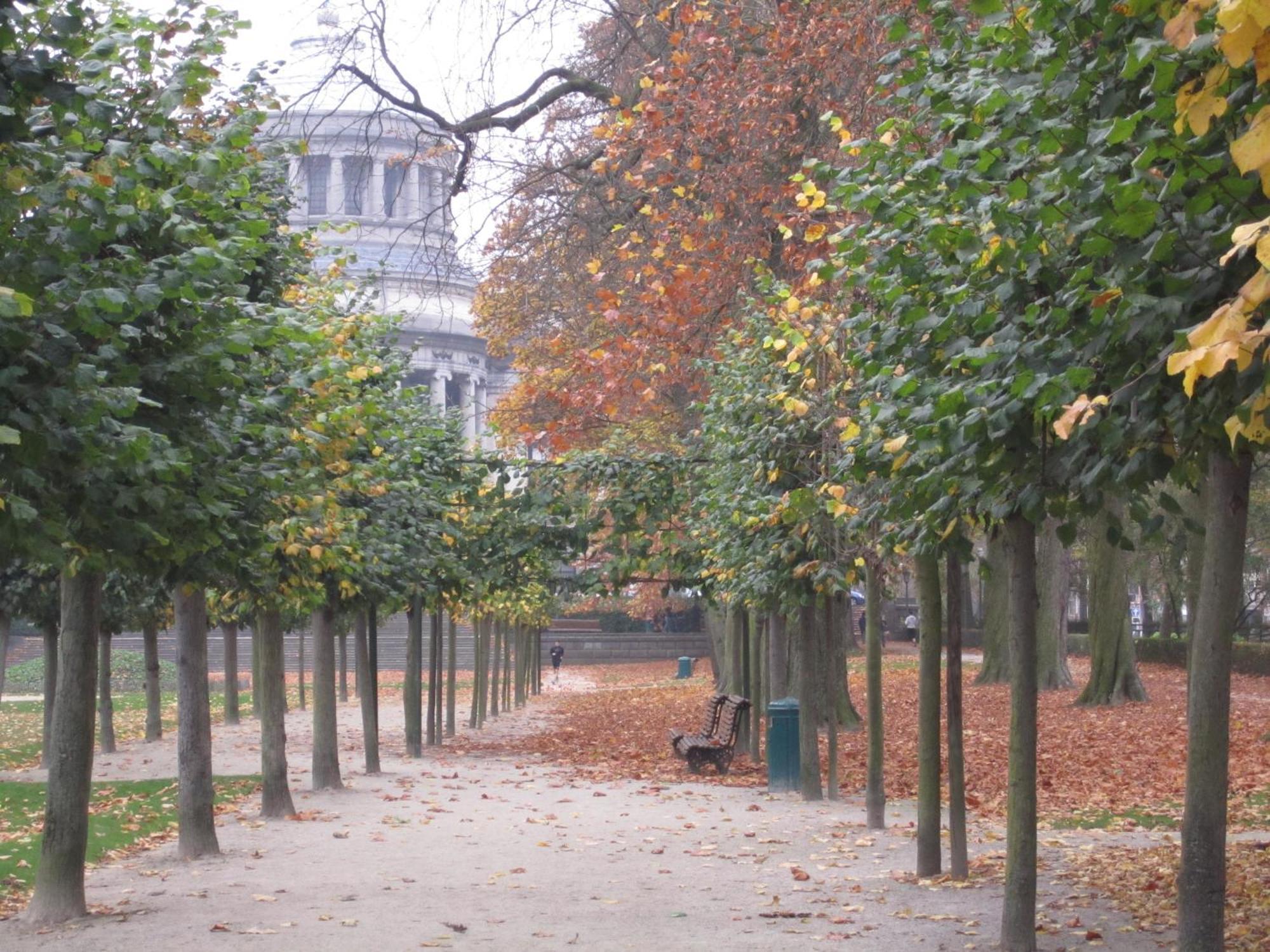 B&B A Cote Du Cinquantenaire Etterbeek Kültér fotó